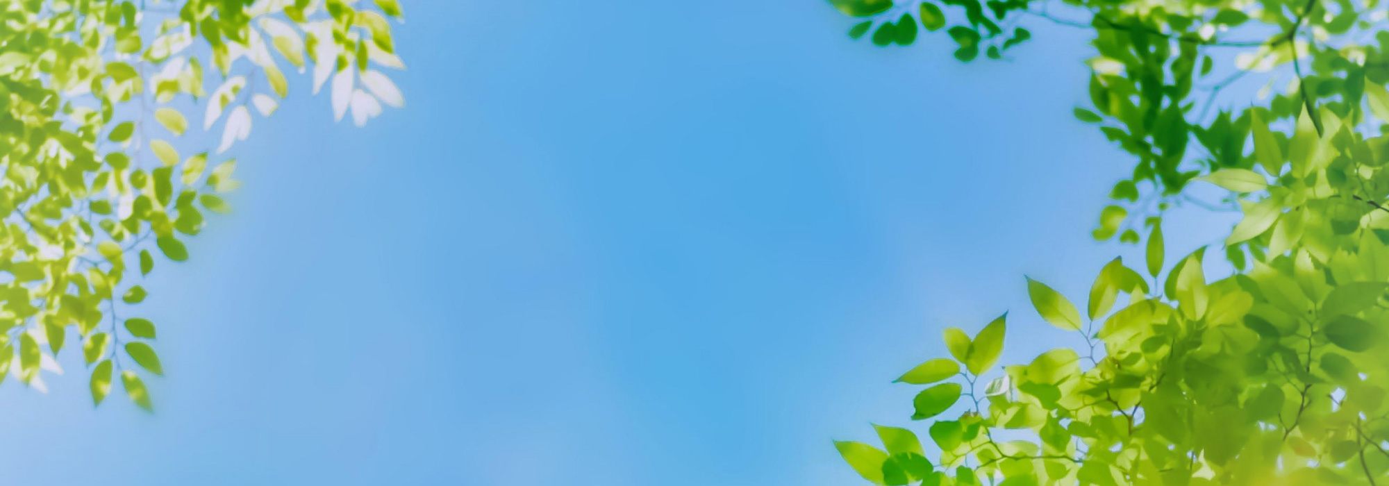 キービジュアルイメージ